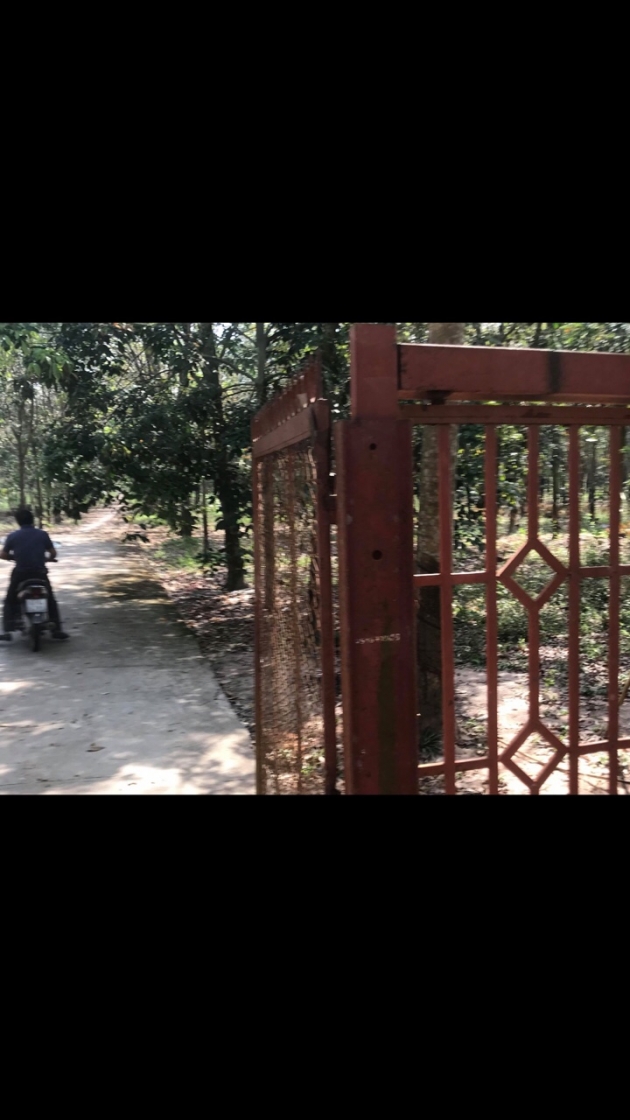 Bán đất nhà xưởng tại huyện Bàu Bàng, Bình Dương